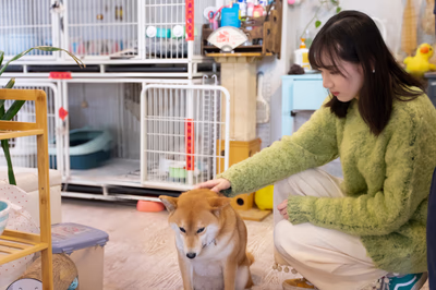 猫猫狗狗咖啡厅